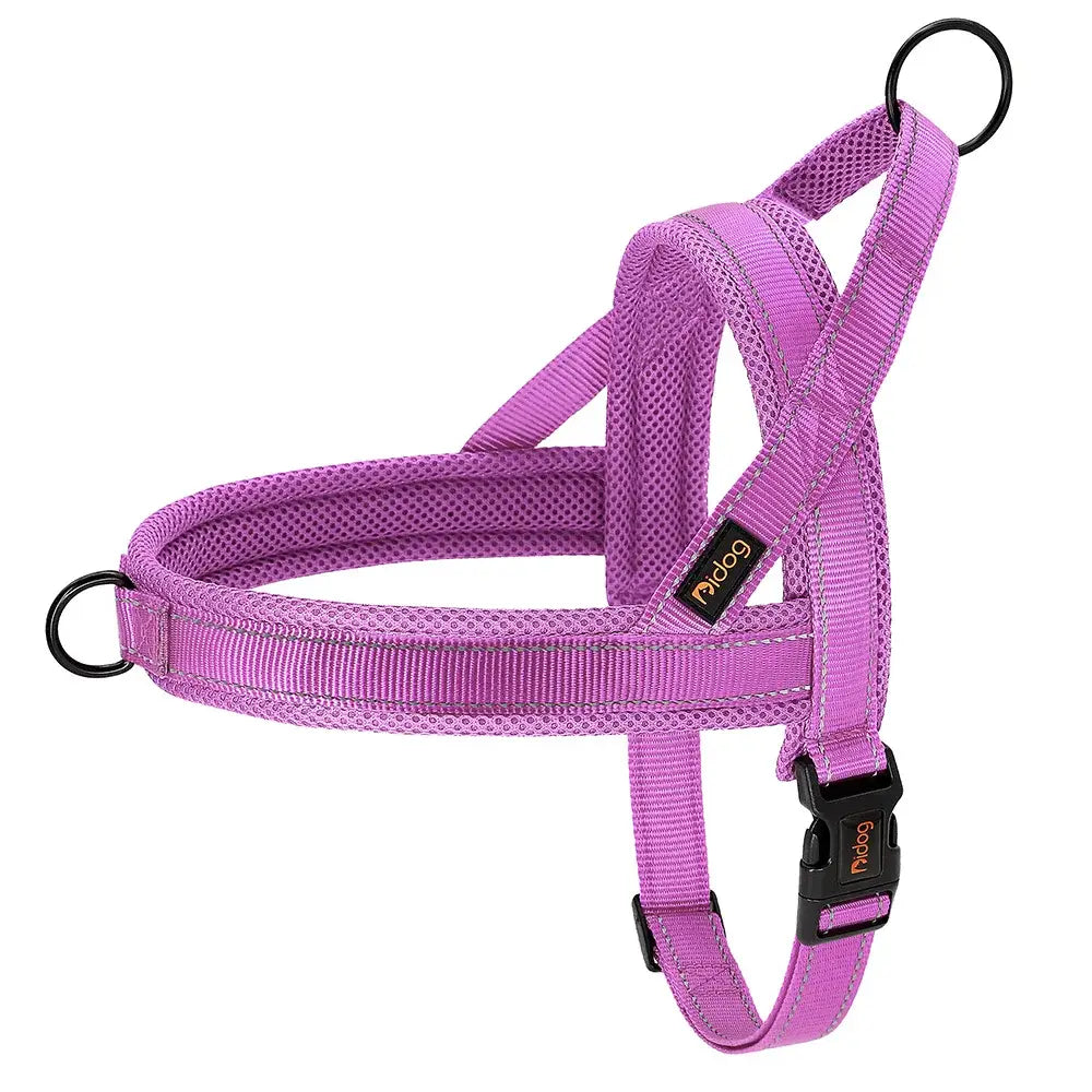 Purple dog harness with adjustable straps and buckles.