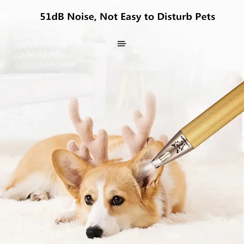 Corgi dog wearing decorative antlers with a grooming tool near its ear.