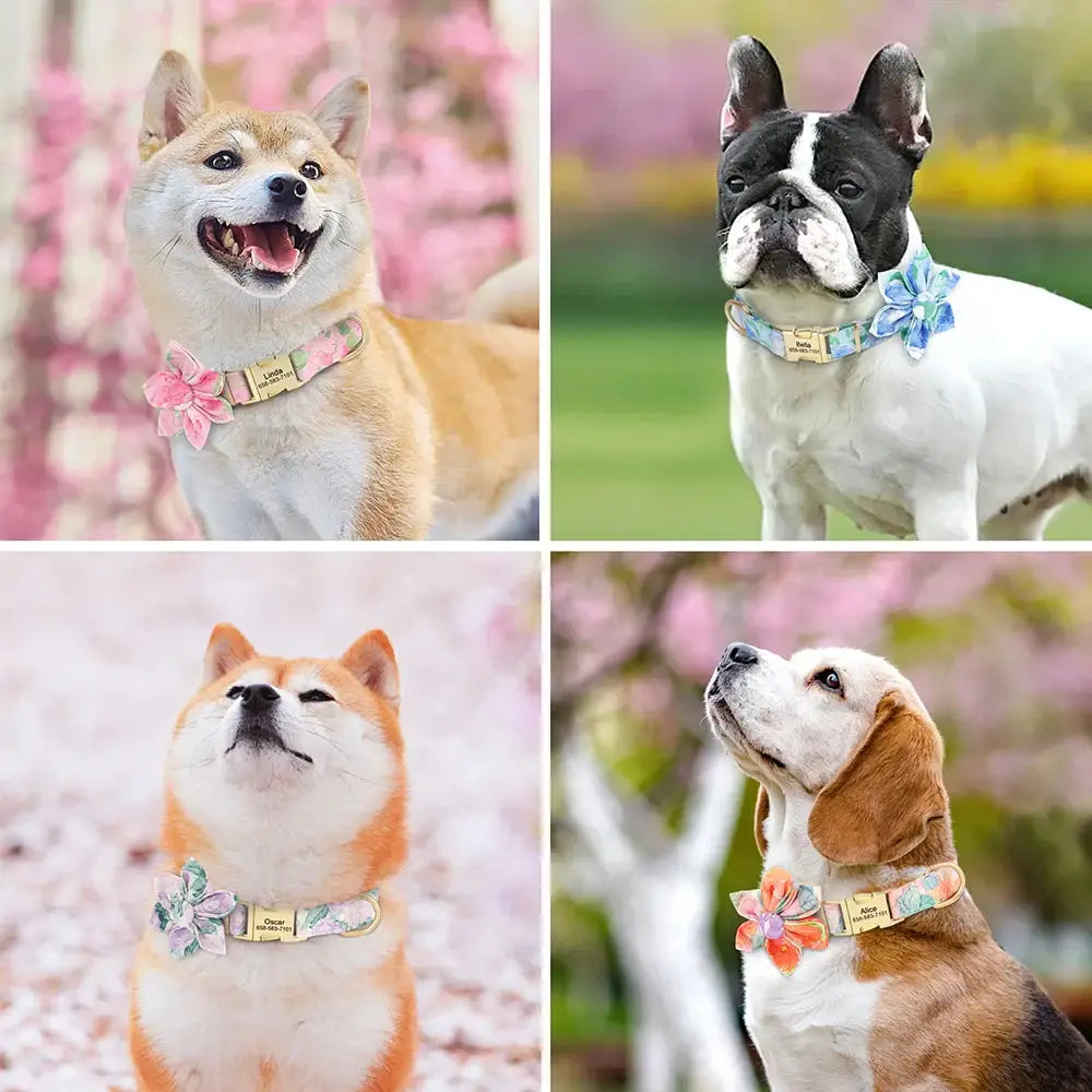 Collage of four smiling dogs wearing decorative collars with flowers.