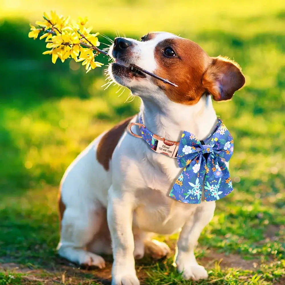 Jack Russell terrier wearing a blue bowtie and sniffing yellow flowers.