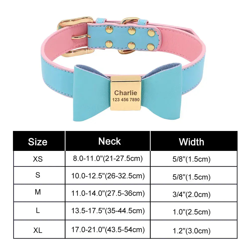 Pastel blue and pink dog collar with a bow and personalized gold nameplate.