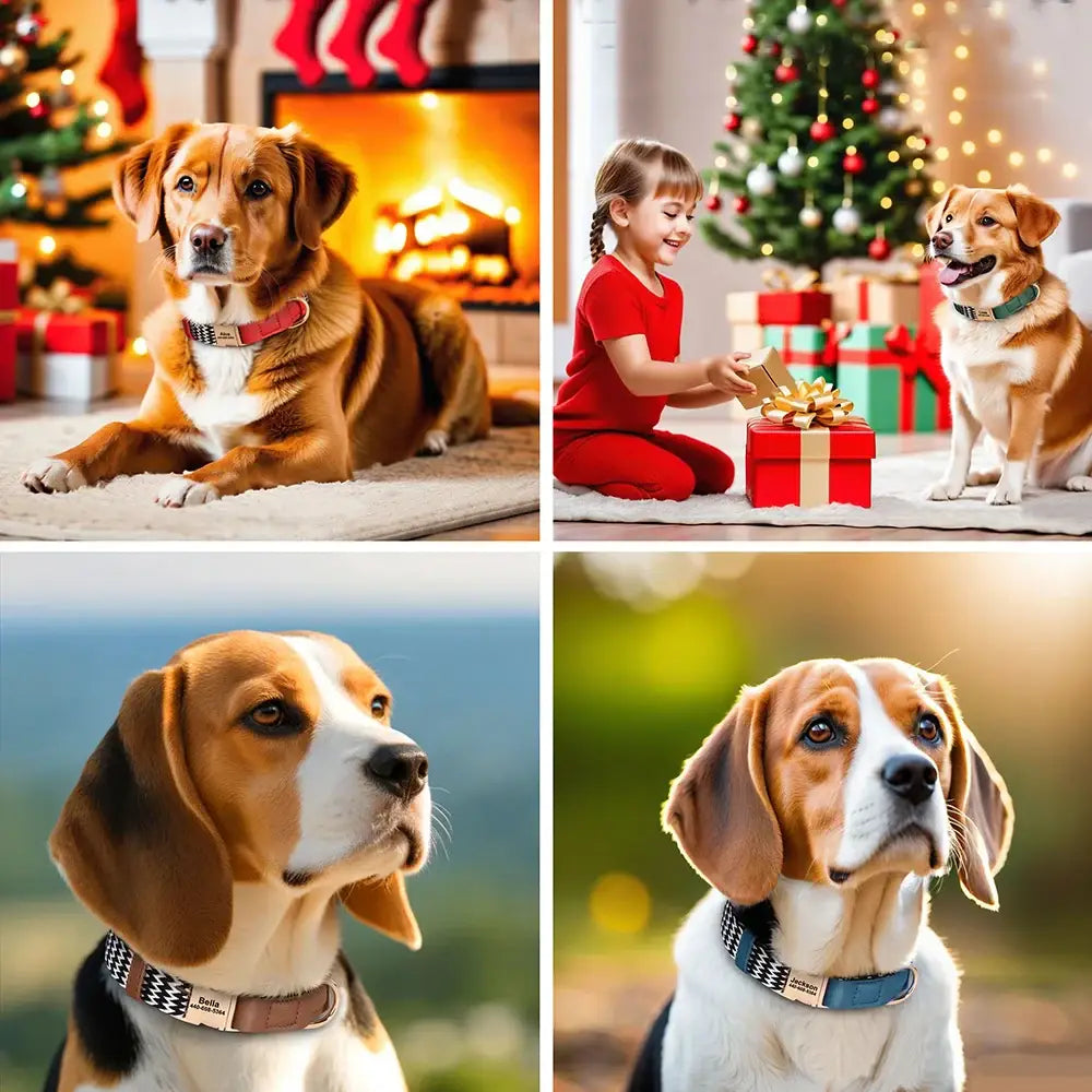 Collage of four photographs featuring dogs, with two Christmas-themed scenes and two close-up portraits of beagles.