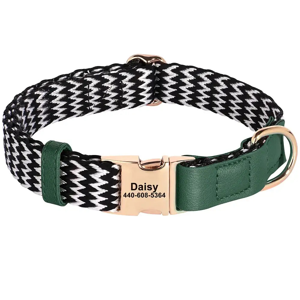 Dog collar with a black and white checkered pattern, green leather accents, and a gold-colored buckle engraved with ’Daisy’ and a phone number.