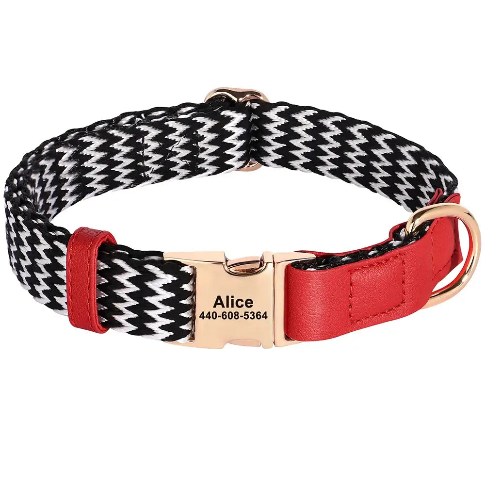 Dog collar with a black and white checkered pattern, red leather accents, and a gold-colored buckle engraved with ’Alice’ and a phone number.