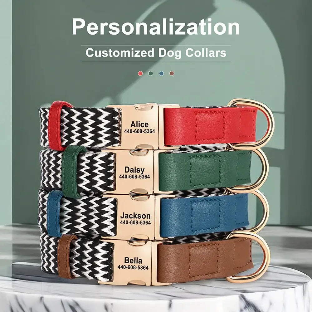 Set of personalized dog collars in various colors with engraved name tags.