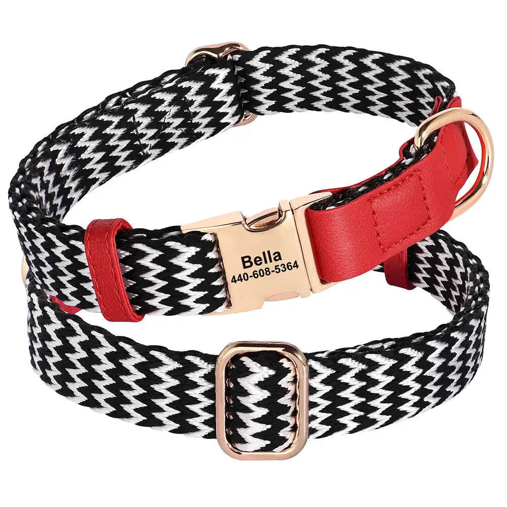 Stylish black and white patterned dog collar with red accents and a gold buckle.