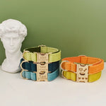 Personalized Dog Collars in Vibrant Greens - Vignette | DoggyElite