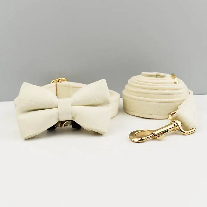 Cream-colored bow tie with gold hardware alongside a matching leash.