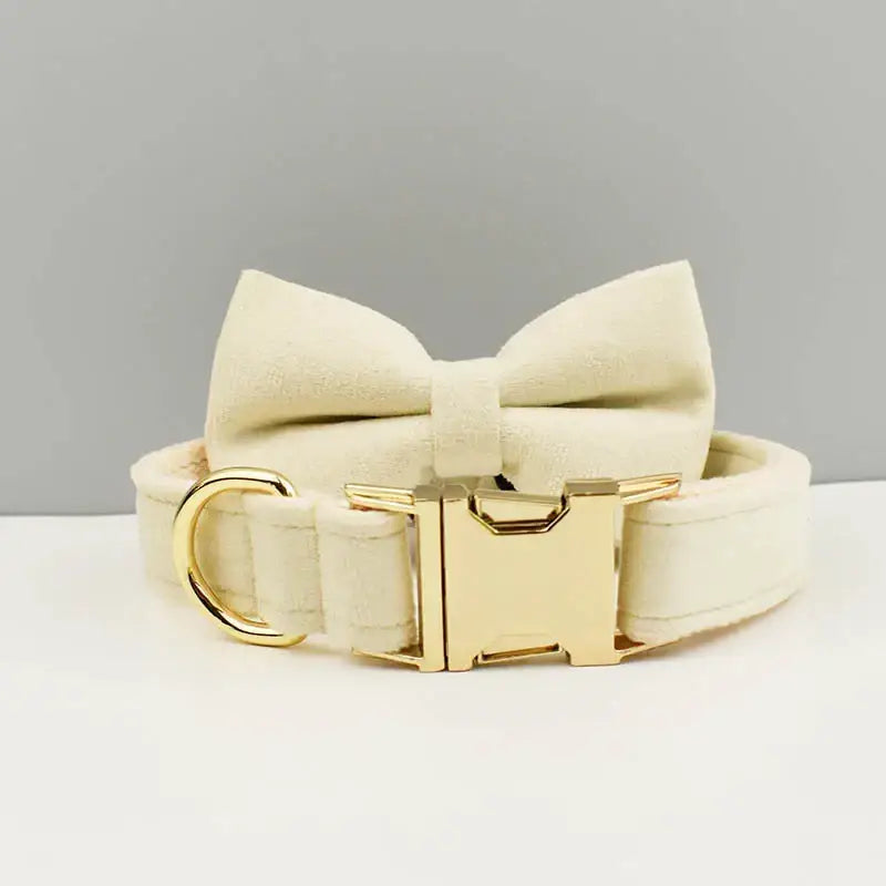 Cream-colored dog collar with matching bow tie and gold hardware.