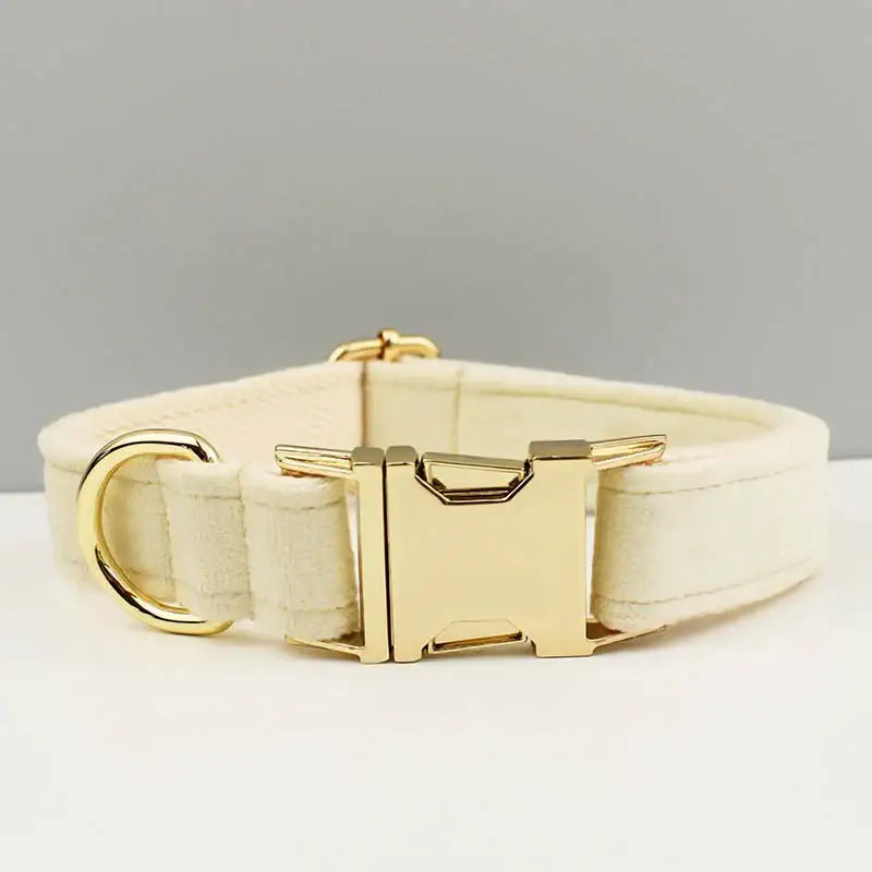 Cream-colored fabric dog collar with a gold metal buckle and hardware.