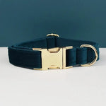 Personalized Dog Collars in Vibrant Greens - Vignette | DoggyElite