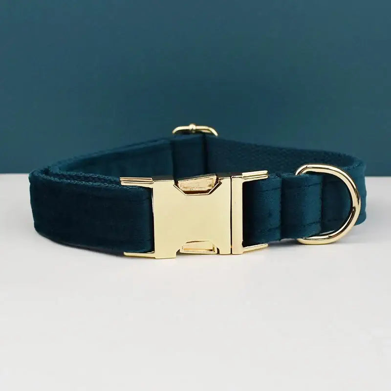 Dark blue dog collar with a gold-colored metal buckle and hardware.