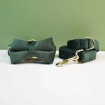 Personalized Dog Collars in Vibrant Greens - Vignette | DoggyElite