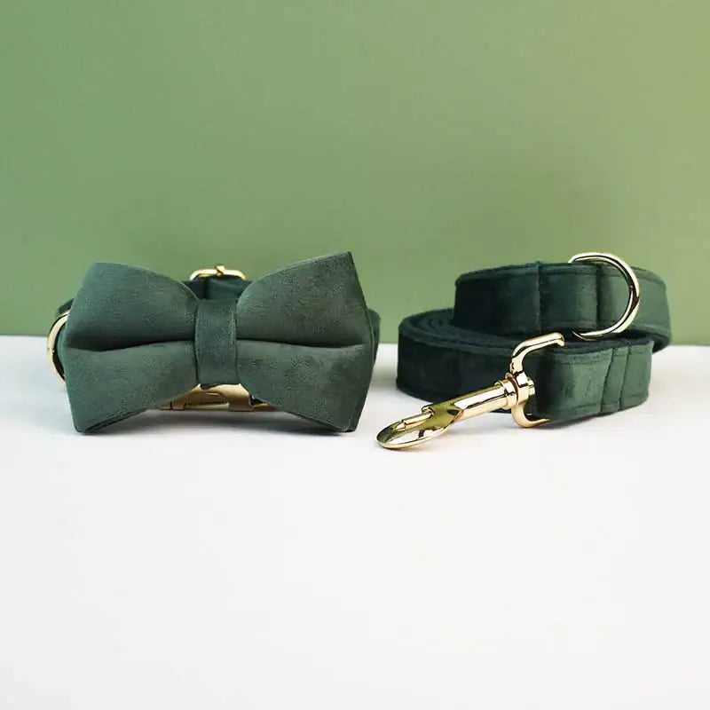 Dark green bow tie collar and matching leash for a pet.