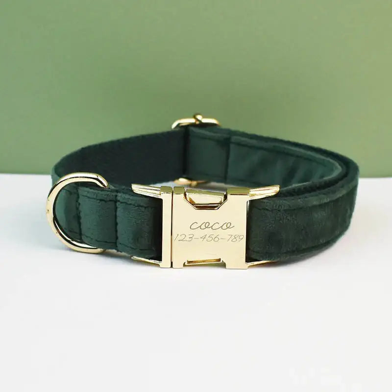 Dark green dog collar with a gold-colored metal buckle and ’Coco’ engraved on it.