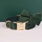 Personalized Dog Collars in Vibrant Greens - Vignette | DoggyElite