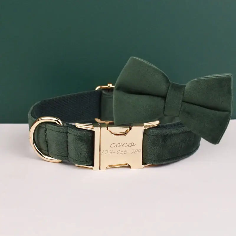 Dark green velvet dog collar with a bow tie and gold-toned hardware.