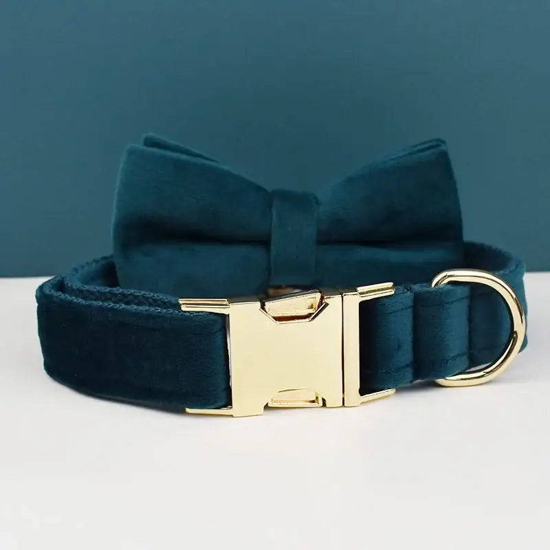 Dark teal dog collar with a matching bow tie and gold-colored metal hardware.