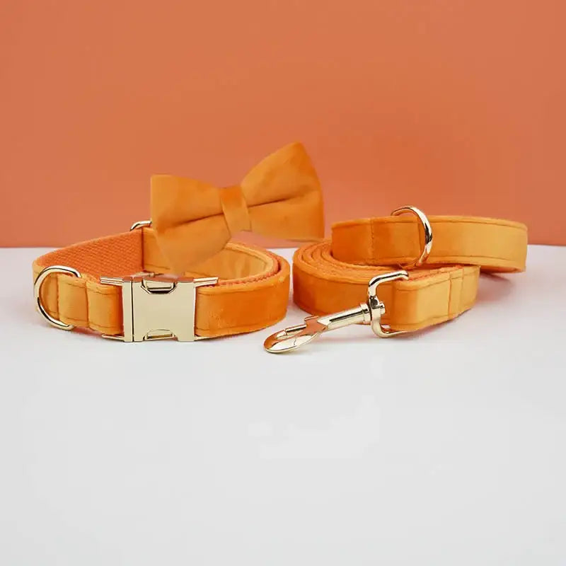 Dog collar and leash set in bright yellow with a matching bow tie accessory.