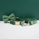 Personalized Dog Collars in Vibrant Greens - Vignette | DoggyElite