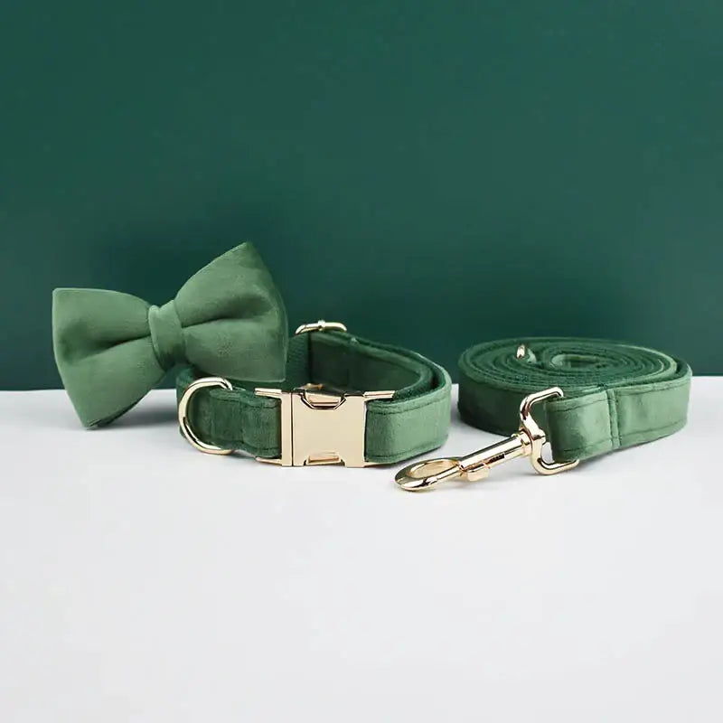 Dog collar and leash set in a deep green color with a matching bow tie accessory.