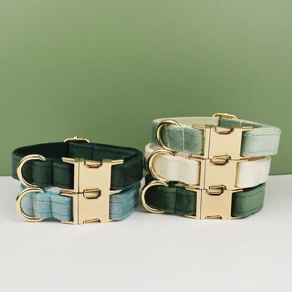 Dog collars in various shades of green with gold-toned hardware.