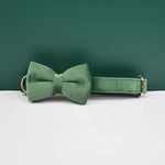 Personalized Dog Collars in Vibrant Greens - Vignette | DoggyElite