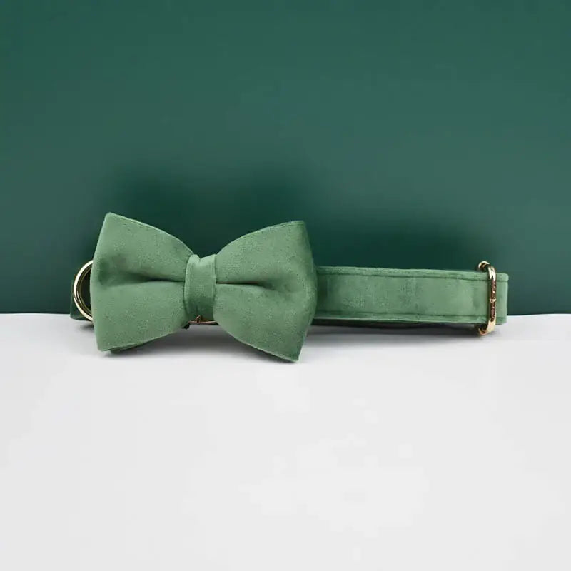 Green bow tie attached to a collar with a metal clasp.