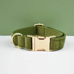 Personalized Dog Collars in Vibrant Greens - Vignette | DoggyElite