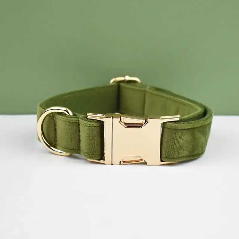 Green fabric dog collar with a gold metal buckle and hardware.