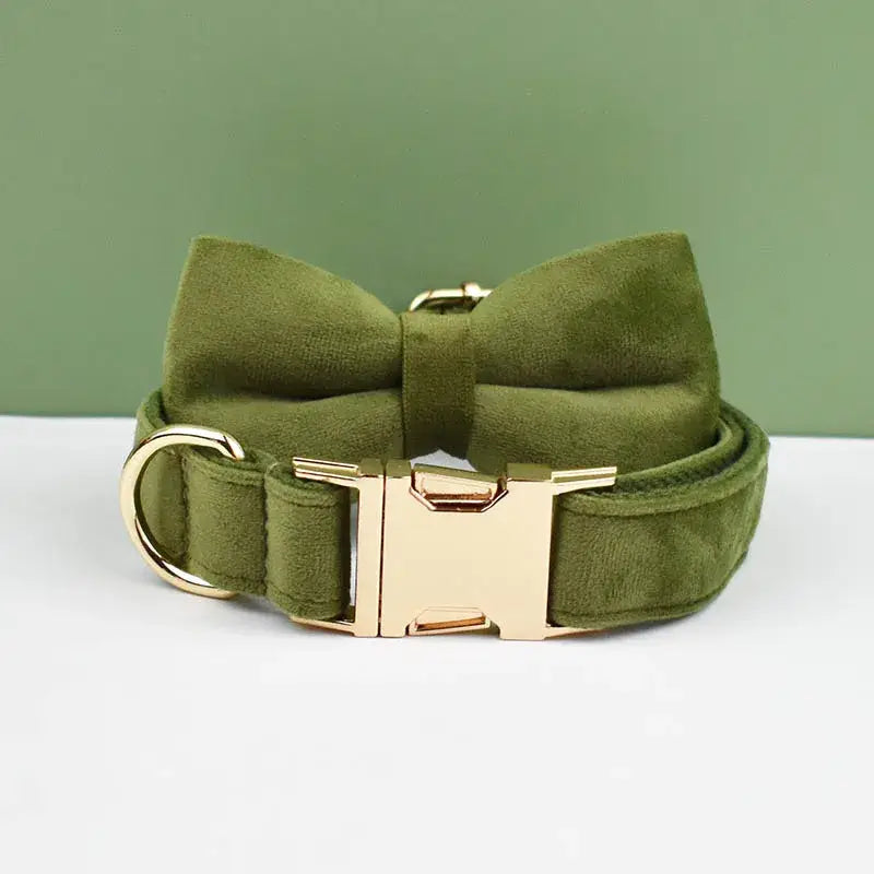 Green velvet dog collar with a matching bow tie and gold buckle.