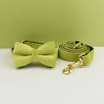 Personalized Dog Collars in Vibrant Greens - Vignette | DoggyElite