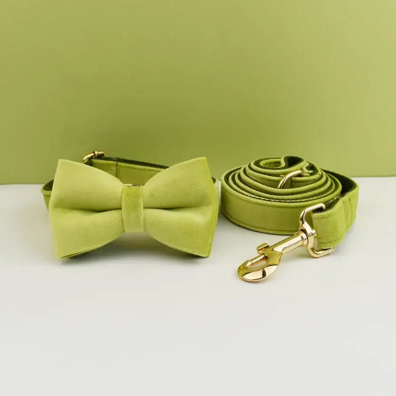 Lime green bow tie with matching leash.