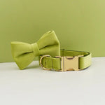 Personalized Dog Collars in Vibrant Greens - Vignette | DoggyElite