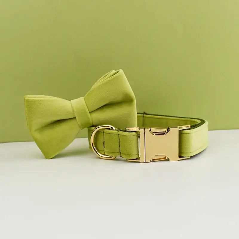 Lime green dog collar with a matching bow tie attachment.