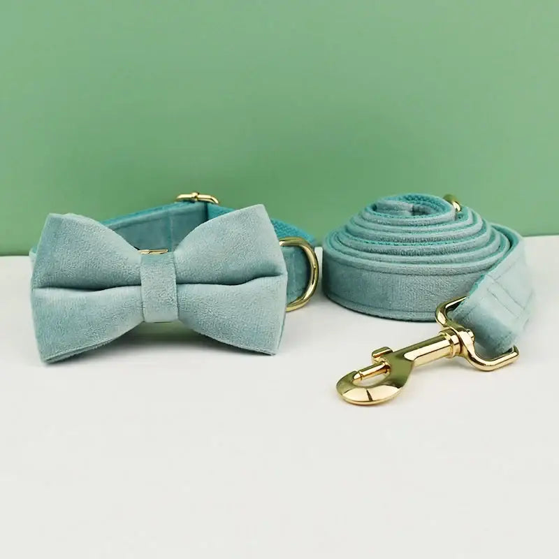 Mint green bow tie collar and matching leash for a pet.