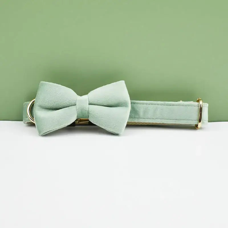 Mint green bow tie attached to a matching collar.