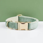 Personalized Dog Collars in Vibrant Greens - Vignette | DoggyElite