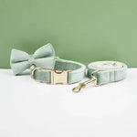 Personalized Dog Collars in Vibrant Greens - Vignette | DoggyElite