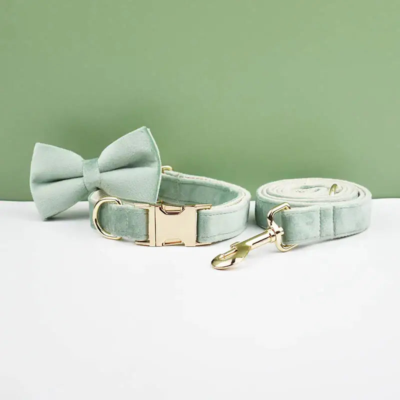 Mint green dog collar with matching bow tie and leash.