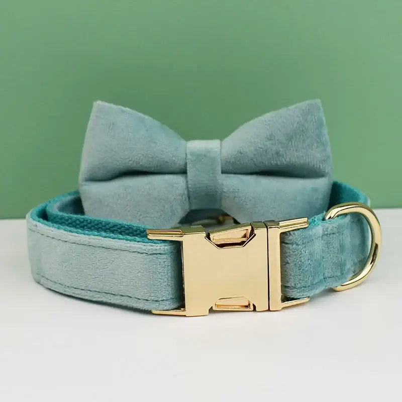 Mint green velvet dog collar with a matching bow tie and gold buckle.