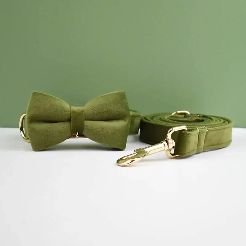 Olive green bow tie with matching leash or collar.