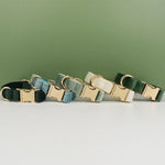 Personalized Dog Collars in Vibrant Greens - Vignette | DoggyElite