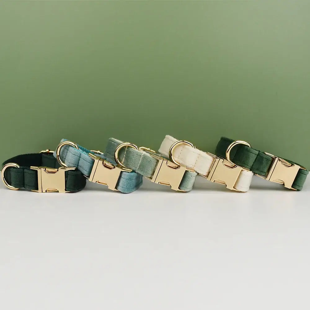 Set of dog collars in various shades of green with gold-colored buckles.