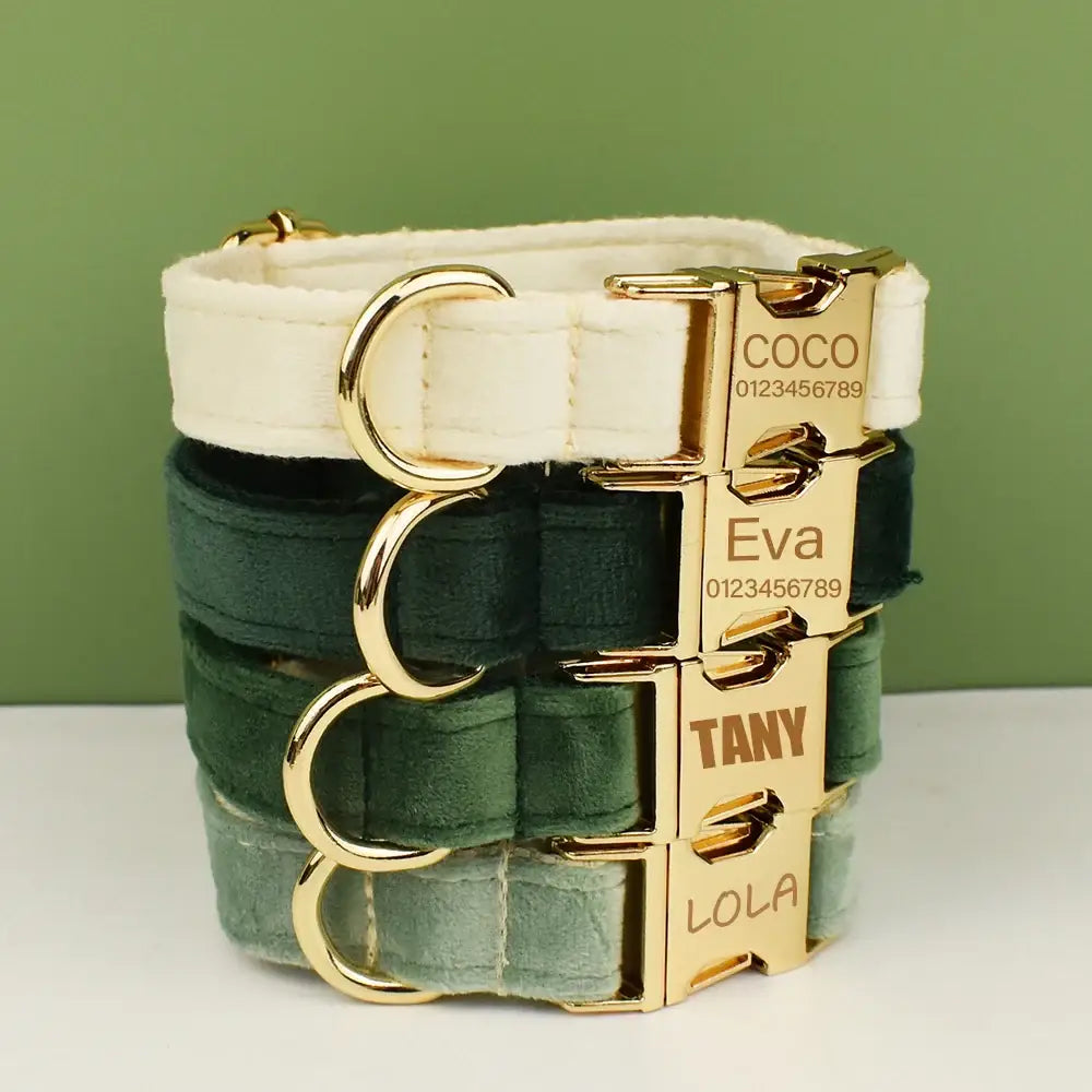 Stack of personalized dog collars in various shades of green with gold hardware.