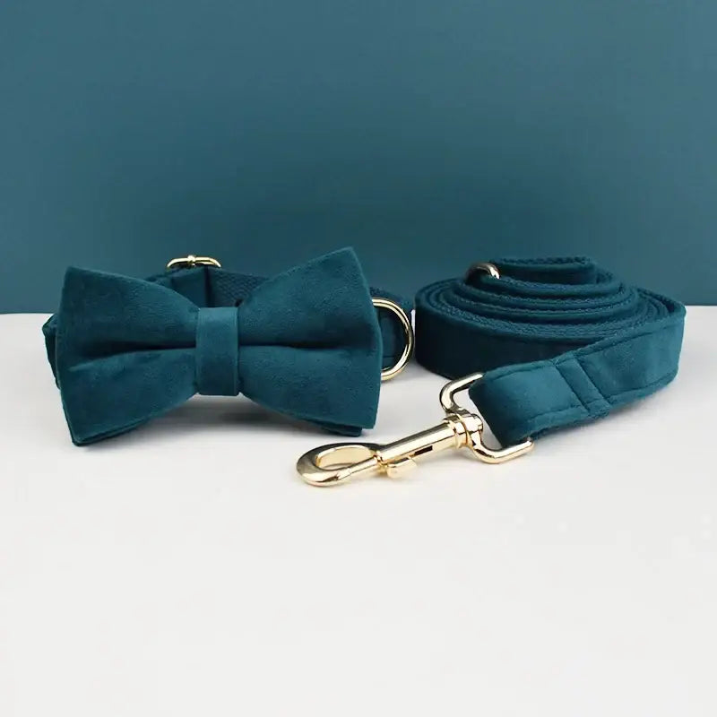 Teal bow tie collar and matching leash for a pet.