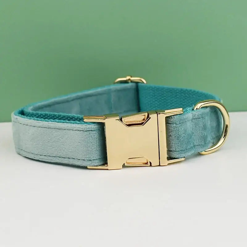 Teal velvet dog collar with gold-toned metal hardware.