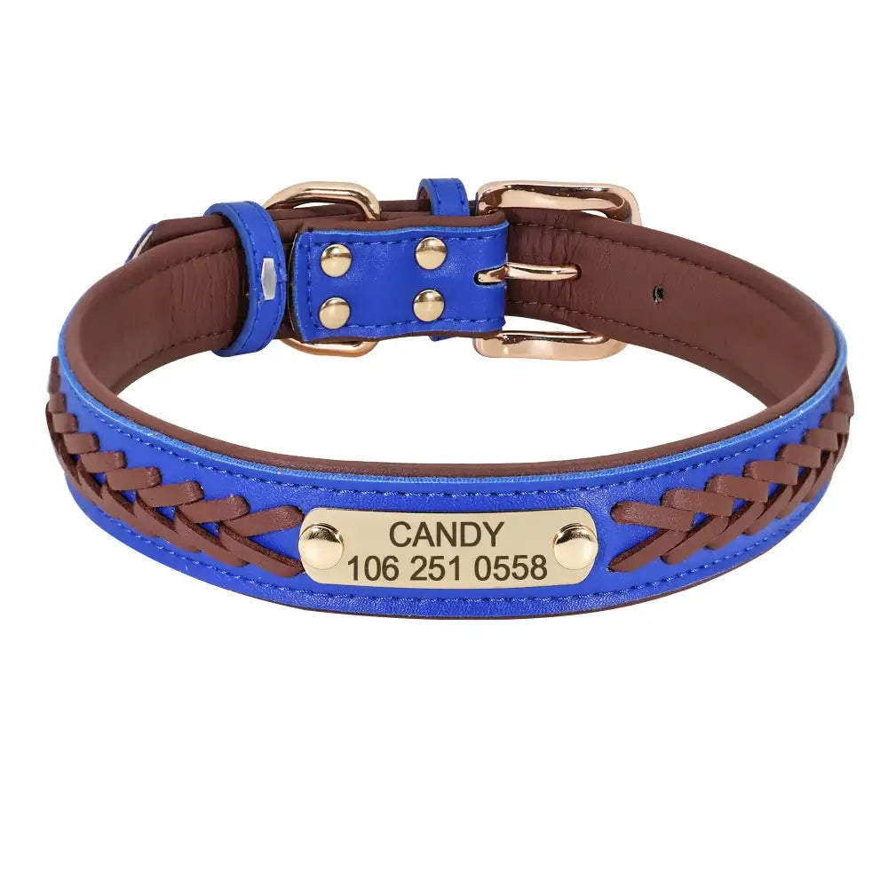 Blue and brown leather dog collar with a personalized name tag.