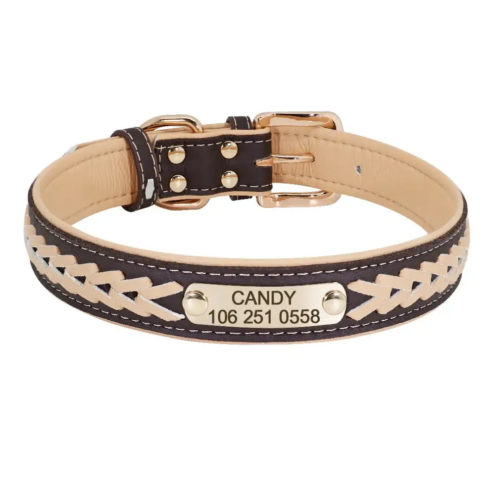 Leather dog collar with braided design and personalized name tag.