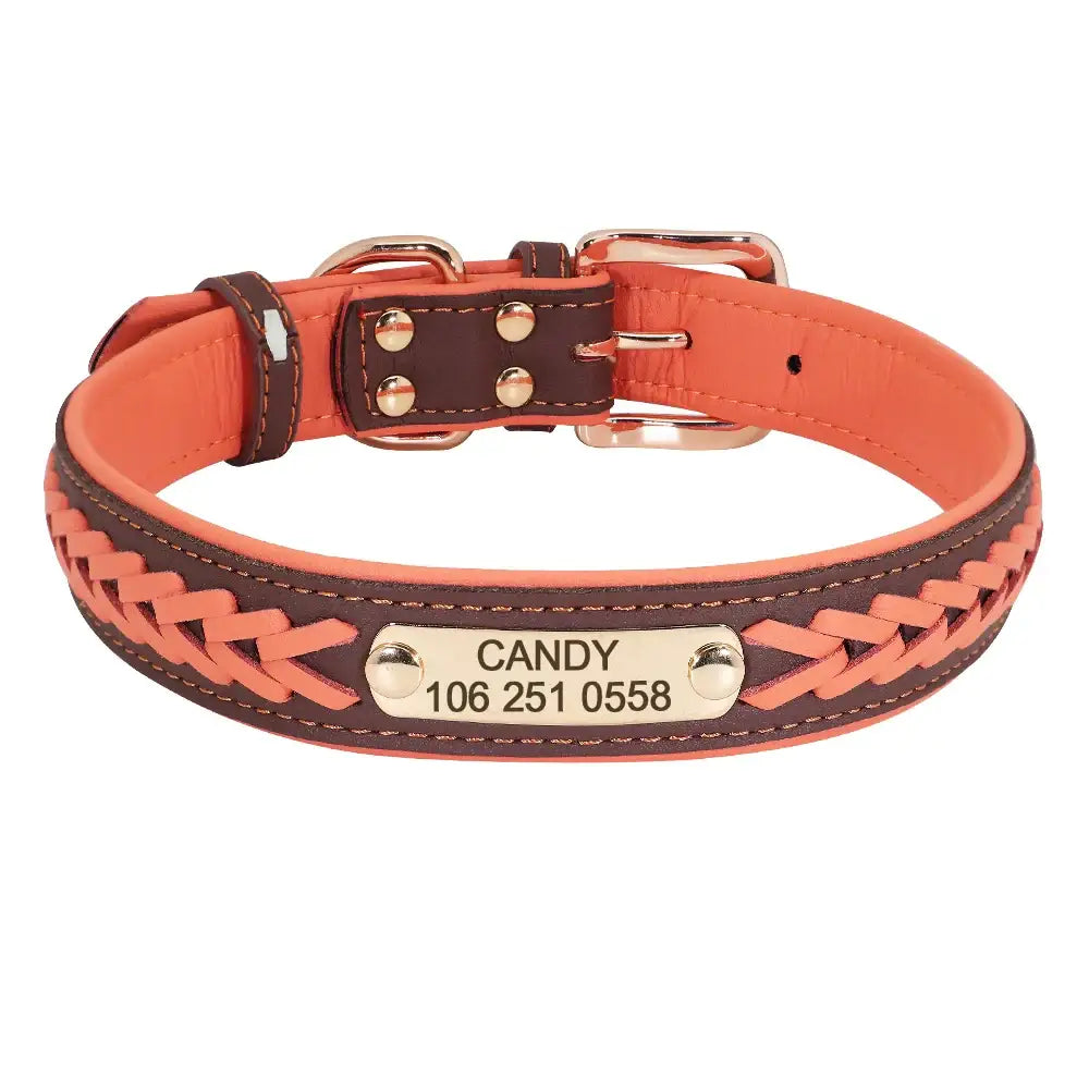 Leather dog collar with braided design and personalized nameplate.